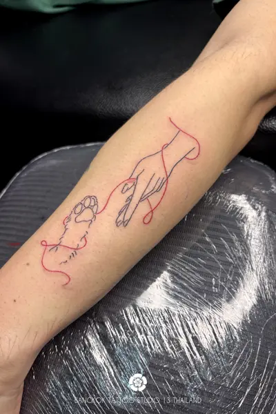 fine-line-tattoo-cat-hand-human-conection